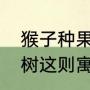 猴子种果树，故事线索（小猴子种果树这则寓言告诉我们什么道理）