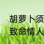 胡萝卜须到底什么意思（胡萝卜须和致命情人相似吗）