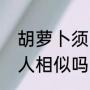 胡萝卜须的用途（胡萝卜须和致命情人相似吗）