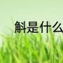 斛是什么意思（斛字是什么意思）