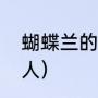 蝴蝶兰的花语（蝴蝶兰寓意及花语喻人）