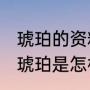 琥珀的资料是什么（琥珀这篇课文中，琥珀是怎样被发现的）