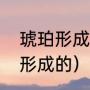 琥珀形成的过程是什么（琥珀是怎样形成的）