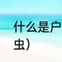 什么是户尘螨（户尘螨是灰尘还是螨虫）