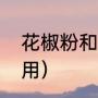 花椒粉和花椒粒的区别（花椒粉怎么用）