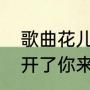 歌曲花儿都开了你来不来歌词（花都开了你来不来歌词原唱）