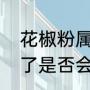 花椒粉属于什么农产品（花椒粉放多了是否会发苦）