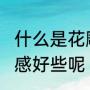 什么是花雕酒?花雕酒和加饭酒哪个口感好些呢（什么是花雕酒）