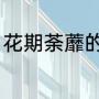 花期荼蘼的意思（花期荼蘼怎么理解）