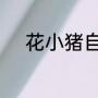 花小猪自动接单后不能抢单了吗