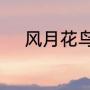 风月花鸟、一笑尘缘了什么意思