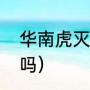 华南虎灭绝了吗（华南虎已经灭绝了吗）