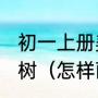 初一上册美术第一课:画校园里的一棵树（怎样画学校吉祥物）
