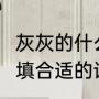 灰灰的什么填词语（组词:(灰灰的什么填合适的词语）