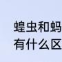 蝗虫和蚂蚱有什么区别（蚱蜢和蝗虫有什么区别）