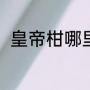 皇帝柑哪里产的（皇帝柑用什么土）