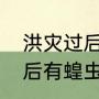 洪灾过后有蝗灾的原因（为什么水灾后有蝗虫）