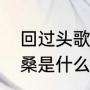 回过头歌词意思是什么（回头已是沧桑是什么歌）