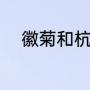 徽菊和杭菊哪个好（什么是贡菊）