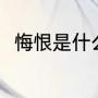 悔恨是什么意思（悔恨是什么意思）