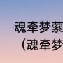 魂牵梦萦和魂牵梦绕的意思是一样吗（魂牵梦萦是什么意思）