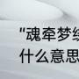 “魂牵梦绕”是什么意思（魂牵梦绕是什么意思啊）
