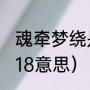 魂牵梦绕是什么意思啊（魂牵梦绕2018意思）