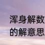 浑身解数的解意思是什么（浑身解数的解意思是什么）