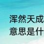 浑然天成的意思是什么（浑然天成的意思是什么）