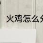 火鸡怎么分公母（火鸡怎么分公母）
