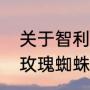 关于智利火玫瑰踢毛的几个问题（火玫瑰蜘蛛好养吗有毒吗有异味吗）