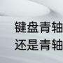 键盘青轴是什么意思（怎么查看红轴还是青轴）