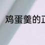 鸡蛋羹的正确做法（蒸鸡蛋的做法）