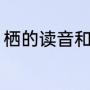 栖的读音和组词（四字成语公鸡什么）