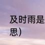 及时雨是什么意思（及时雨是什么意思）