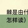 棘是由什么字组成（棘这个字广州音怎样读）