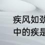 疾风如劲草什么意思（疾风知劲草，中的疾是什么意思）