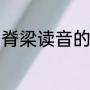 脊梁读音的正确方法（脊梁什么意思）