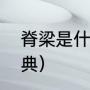 脊梁是什么意思（脊梁的读音新华字典）
