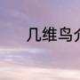 几维鸟介绍（几维鸟可以养吗）