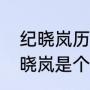 纪晓岚历史人物介绍（清朝时期的纪晓岚是个什么样的人）
