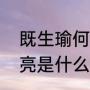 既生瑜何生亮什么意思（既生瑜何生亮是什么意思）