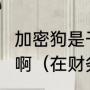 加密狗是干什么的?谢谢了，大神帮忙啊（在财务软件中加密狗是什么意思）