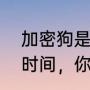 加密狗是什么牌子的（加密狗的三种时间，你知道具体是哪三种吗）