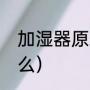 加湿器原理是什么（加湿器原理是什么）