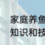 家庭养鱼的知识和技巧（家庭养鱼的知识和技巧）