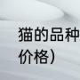 猫的品种仙暹排名第几（十大名贵猫价格）