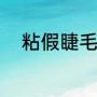 粘假睫毛教程（假眼睫毛怎么贴）