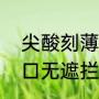 尖酸刻薄的意思是什么（尖酸刻薄和口无遮拦的区别）