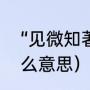 “见微知著”是什么意思（见微知著什么意思）